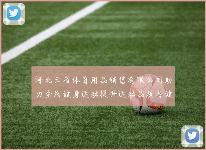 河北云雀体育用品销售有限公司助力全民健身运动提升运动品质与健康生活方式