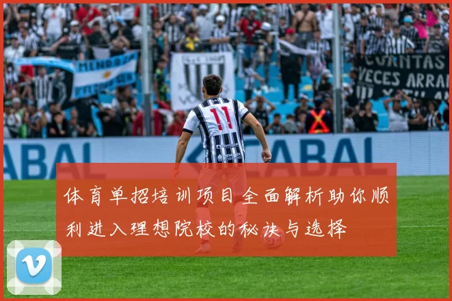 体育单招培训项目全面解析助你顺利进入理想院校的秘诀与选择