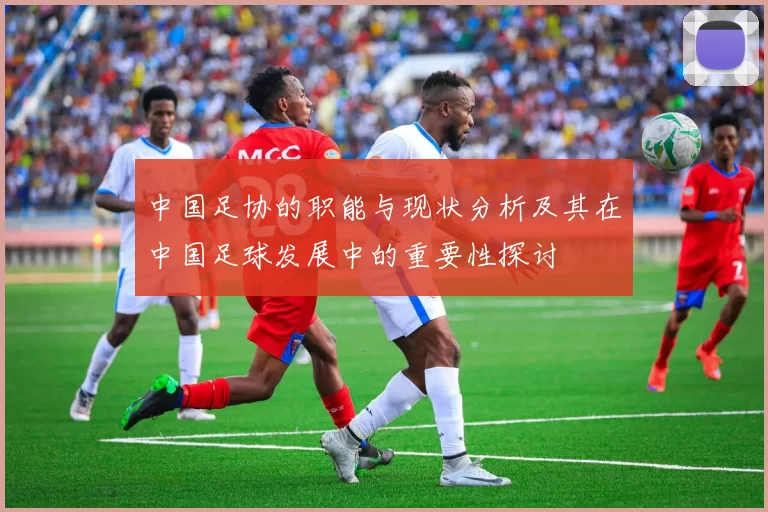 中国足协的职能与现状分析及其在中国足球发展中的重要性探讨