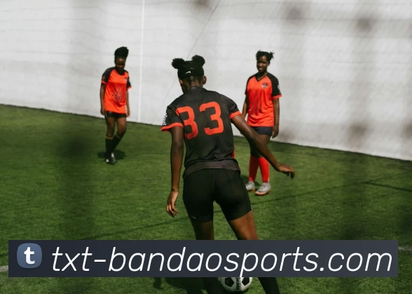 BANDAO SPORTS平台生态图
