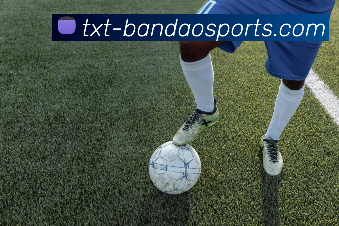 BANDAO SPORTSAPP 封面图
